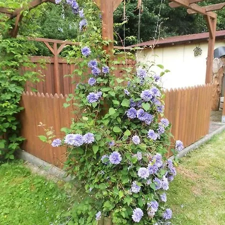 Wohlfuehloase Kappeln